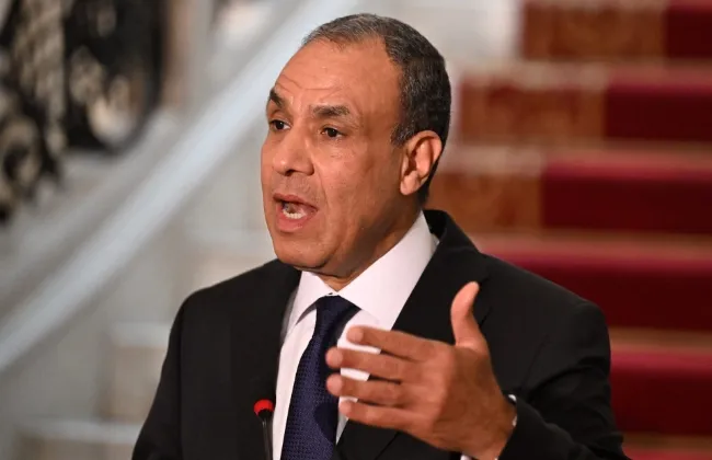 وزير الخارجية: نسعى لتفعيل المجلس التنسيقى الأعلى بين مصر والسعودية 