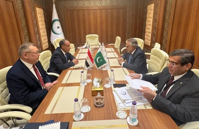 وزير خارجية مصر ونظيره الباكستاني يبحثان تطورات غزة واليمن على هامش اجتماع التعاون الإسلامي