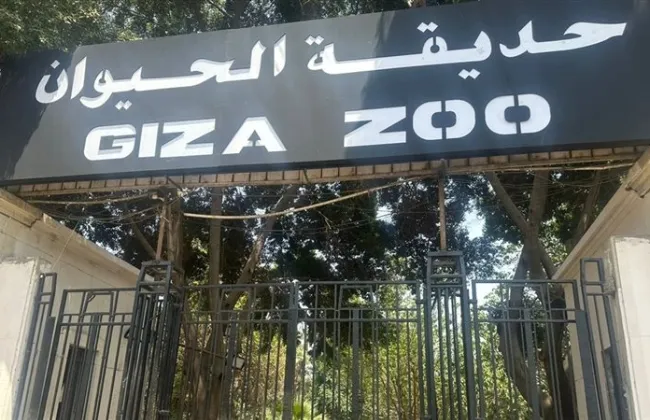 خطة تطوير حديقة الحيوان وارتباطها بحديقة الأورمان