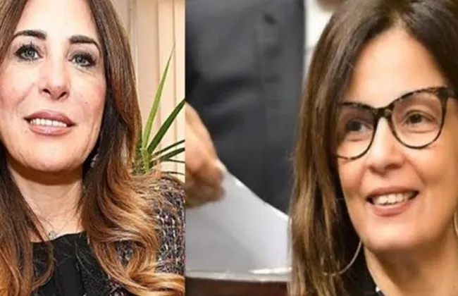 ضياء رشوان: نقد الوزراء حق دستوري… والاتهامات دون أدلة قد تتحول لمسؤولية جنائية