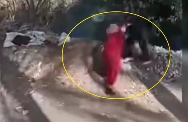 معلومات حول الاعتداء على سيدة بدمنهور