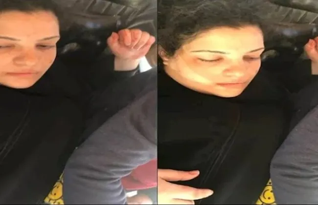 تفاصيل واقعة عزبة النخل