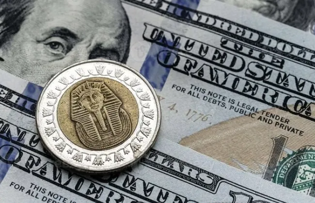 سعر الدولار اليوم في مصر