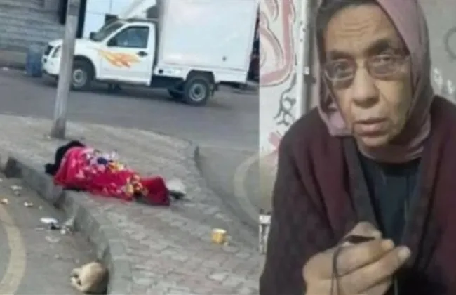 الرئيس السيسي يساعد المهندسة ليلى إبراهيم خبيرة الطاقة الذرية بعد معاناتها في الشوارع