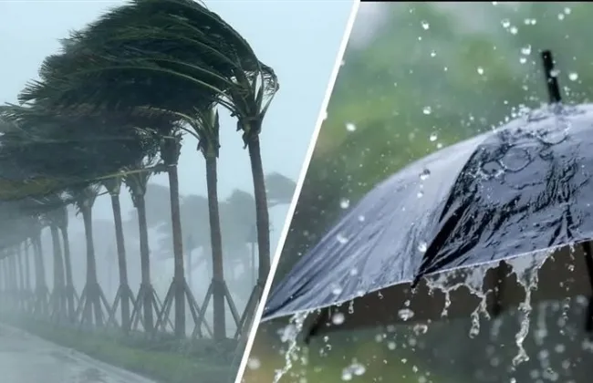 توقعات الطقس ليوم غدٍ السبت 28 مارس 2026 في مصر