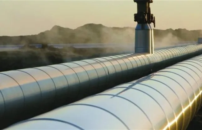 تصريحات مجلس الشيوخ عن مصادر الطاقة