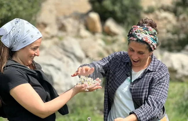 باحثون يدعون لتعزيز آليات الحماية داخل الأنظمة لرصد الأفكار الخطرة مبكرًا