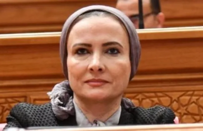 النائبة نشوة عقل تطالب بإعادة النظر في قواعد تقييم طلاب المدارس الدولية
