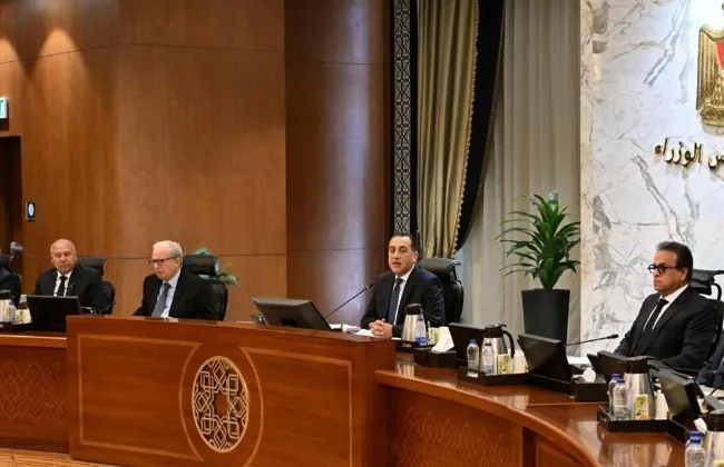 مجلس الوزراء يوافق على تخصيص أرض لتنفيذ مشروعات طاقة بالساحل الشمالى