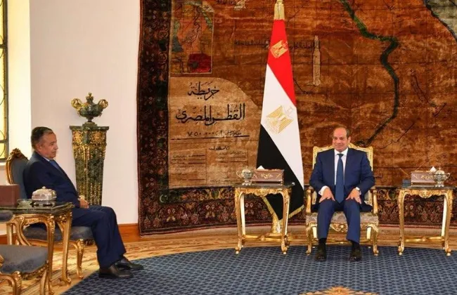 الرئيس السيسى يستقبل نبيل فهمى ويؤكد دعم مصر الكامل لترشيحه أمينا عاما للجامعة العربية