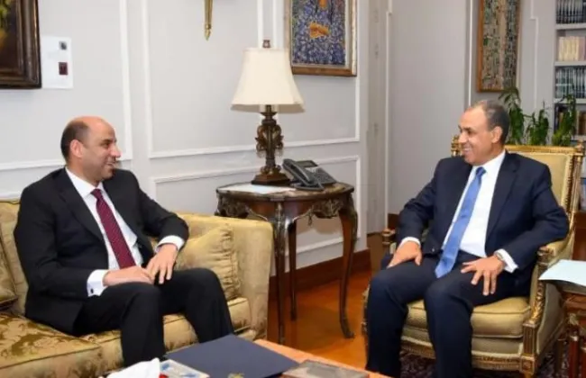 وزيرا الخارجية والعمل يبحثان تعزيز التعاون فى ملف العمالة المصرية بالخارج
