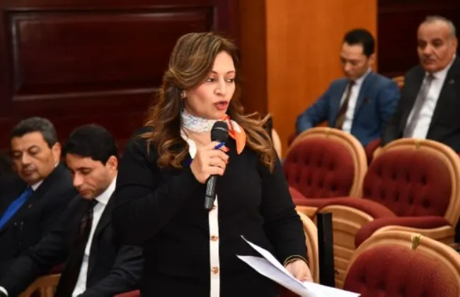 نفين فارس: تعديل قانون الأحوال الشخصية يجب أن يسبقه تقييم للأثر التشريعى