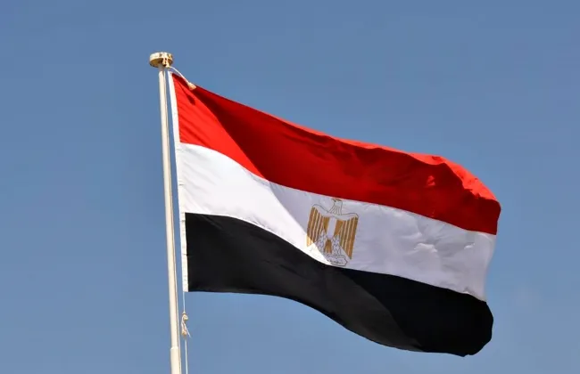 مصر تعرب عن تضامنها مع الجزائر في مواجهة حرائق الغابات بشمال شرق البلاد