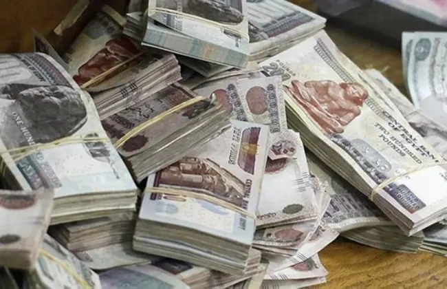 ضبط عنصرين جنائيين لغسل 20 مليون جنيه متحصلة من الهجرة غير الشرعية
