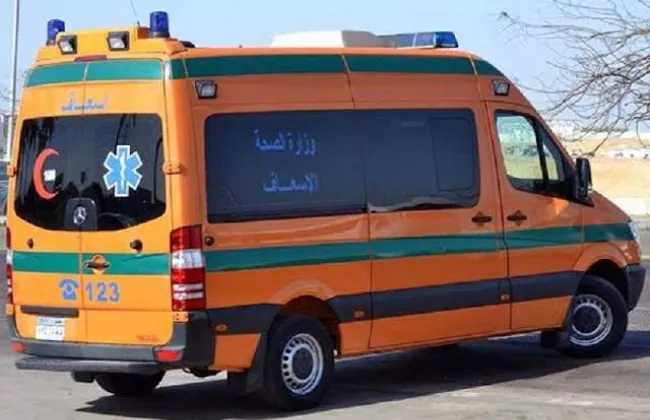 مصرع شخصين فى حادث سير خلال عبورهما الطريق الصحراوى بالبحيرة