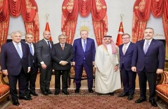 وزير الخارجية يؤكد للرئيس التركي رفض مصر لتهديد أمن الملاحة الدولية