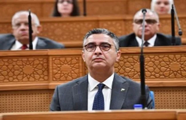 وزير التموين أمام الشيوخ: نستهدف رفع سعات تخزين للقمح لـ6 ملايين طن بحلول 2030