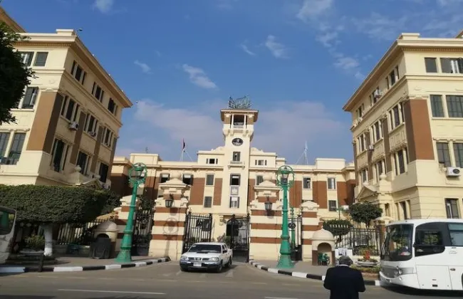 إحالة مسؤولي جمعية مصر الجديدة للنيابة بسبب القطع الجائر لأشجار حديقة الطفل