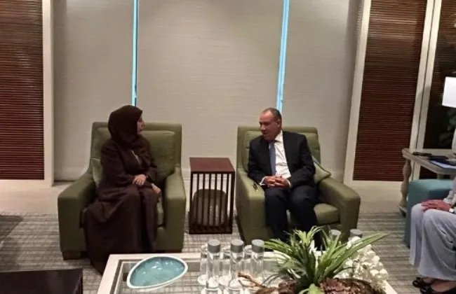 وزير الخارجية يلتقى نظيره اليمنى لبحث جهود التهدئة ومستجدات الأوضاع